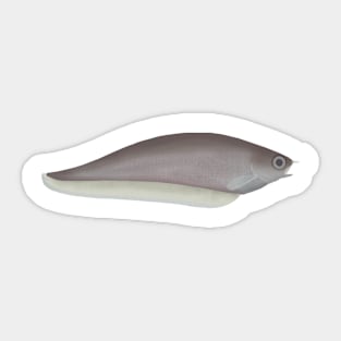 African Knifefish Sticker